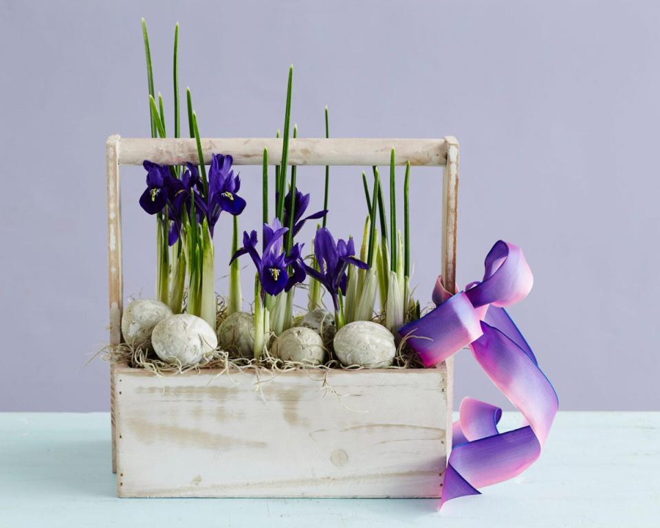 The No-Arranging Iris Arrangement