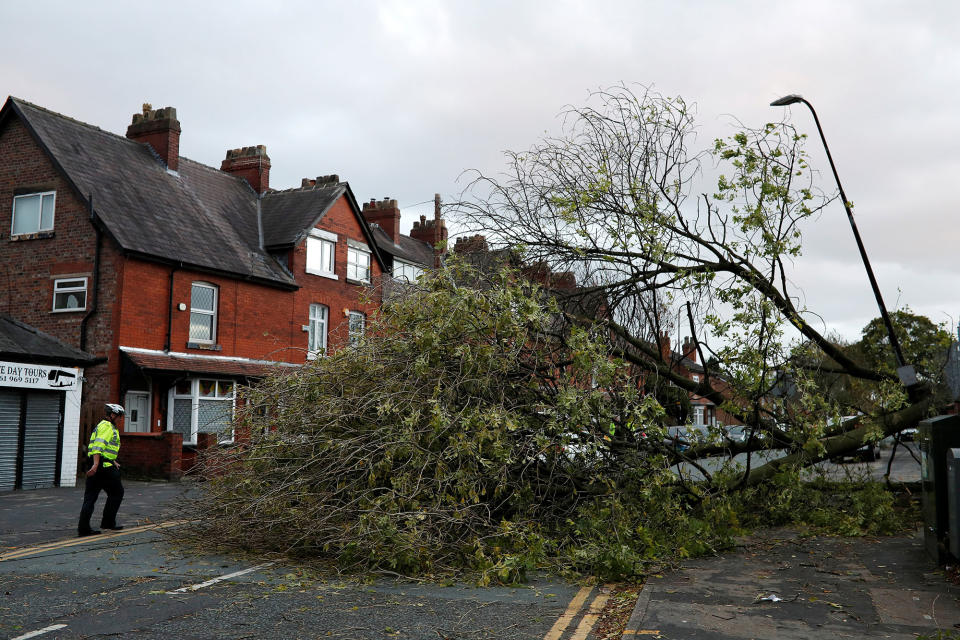 <p>A police officer stands next to a fallen tree as storm Ophelia passes Sale, Britain, Oct. 16, 2017. (Photo: Phil Noble/Reuters </p>