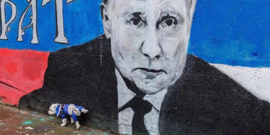 A dog urinates on a wall with a picture of Putin. Serbia, April 2, 2022