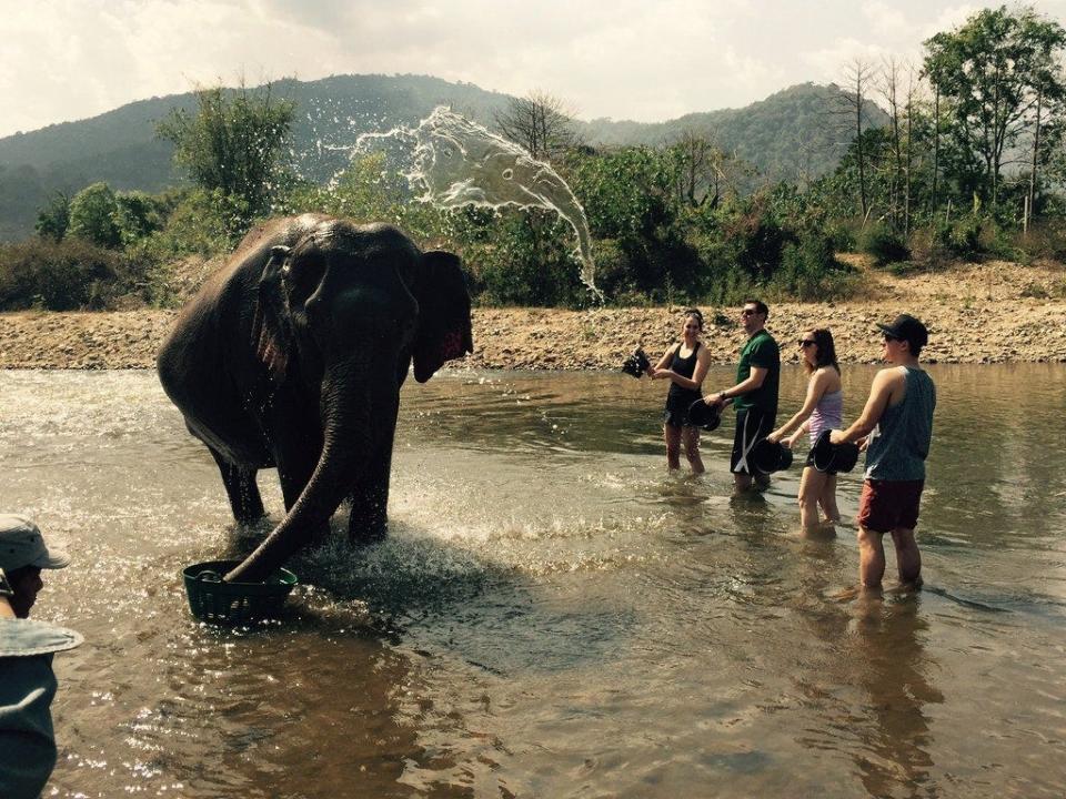 elephant splash