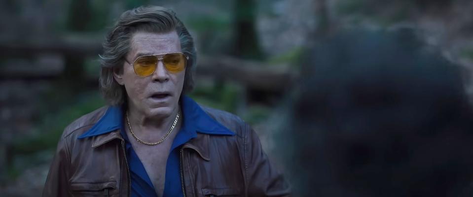 ray liotta in cocaine bear