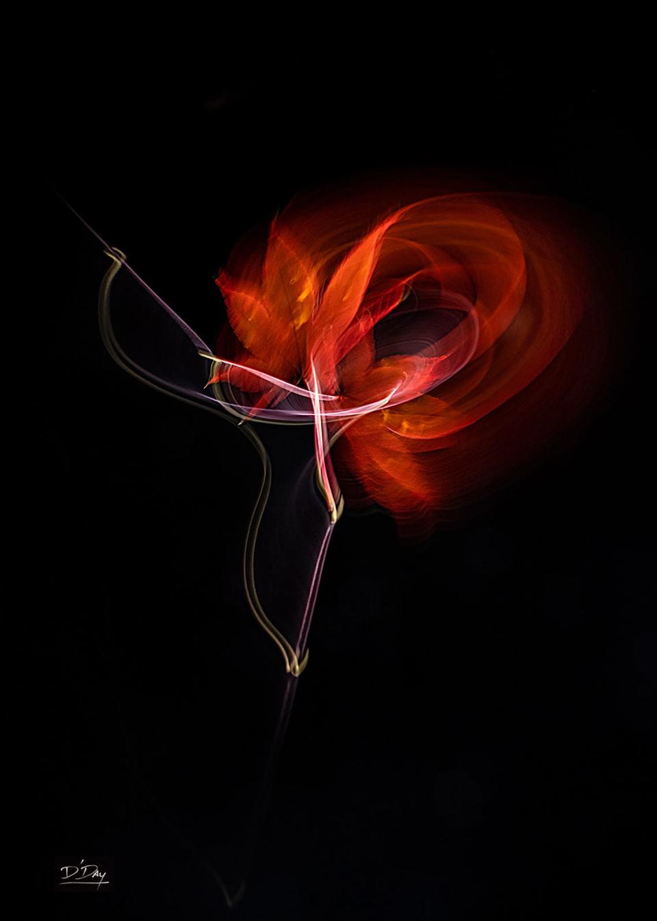 This image was created with a Japanese Maple Leaf and stem.