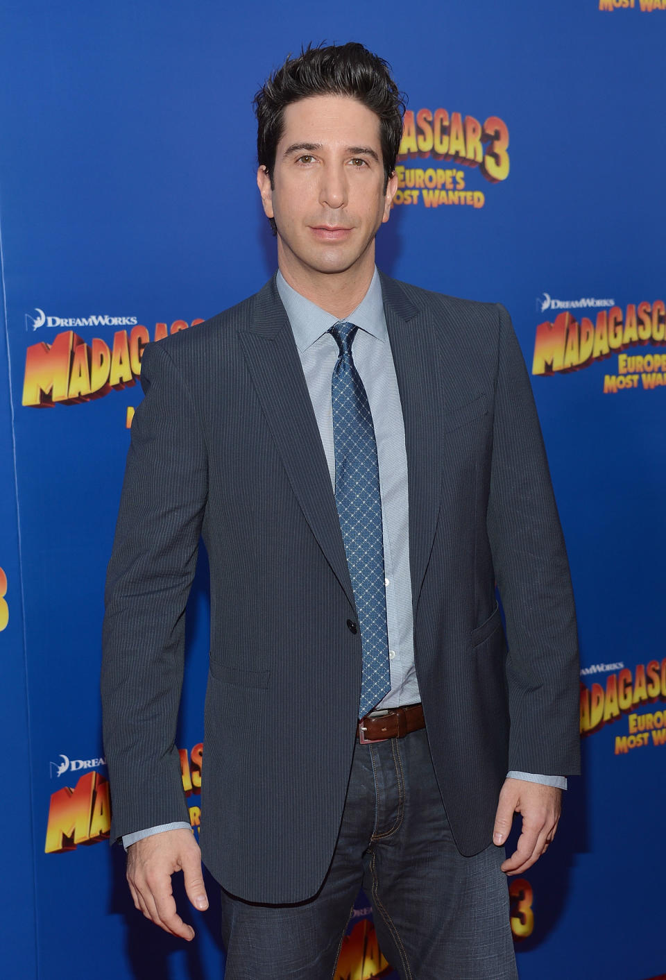 NEW YORK, NY - JUNE 07: Actor David Schwimmer attend the "Madagascar 3: Europe's Most Wanted" New York Premier at Ziegfeld Theatre on June 7, 2012 in New York City. (Photo by Mike Coppola/Getty Images)