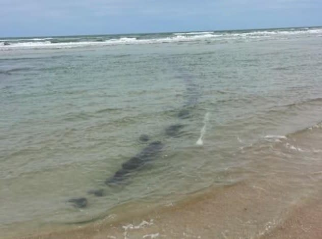 A shipwreck near Daytona Beach