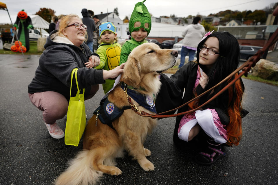 Django, a crisis response dog, enjoys the adoration while helping to bring healing to visitors to a halloween event, Sunday, Oct. 29, 2023, in Auburn, Maine. The community is grieving in the wake of mass shootings that killed 18 people Wednesday night in Lewiston, Maine. (AP Photo/Robert F. Bukaty)