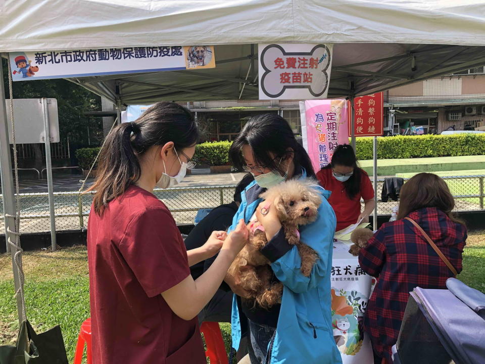 新北市動保處到土城寵物公園提供免費狂犬病疫苗施打。   圖：新北市動保處提供