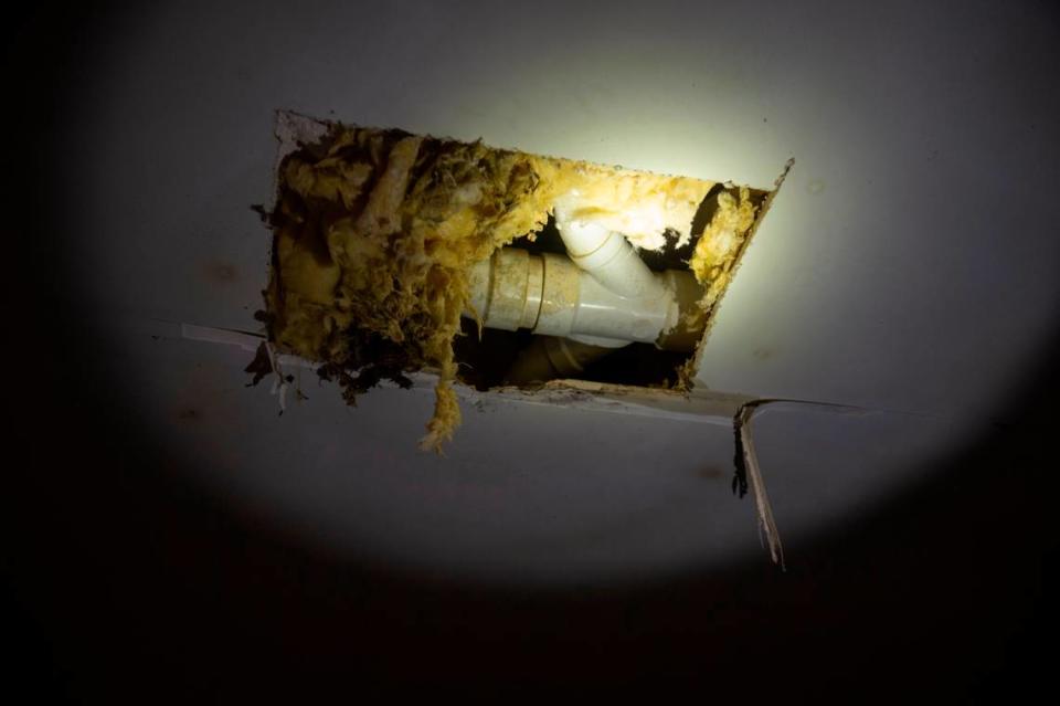 An open hole underneath Sarah Hampton’s rental home in North Street Villas on Wednesday, Oct. 25, 2023. Hampton says maintenance made the hole but never repaired it. Hannah Ruhoff/Sun Herald