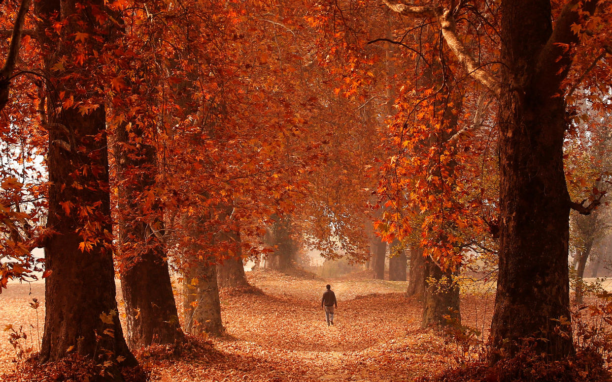 Ein Park bei Castrop-Rauxel? Könnte sein, ist aber in Srinagar, Kaschmir. Die Welt ist schon schön. (Bild: REUTERS/Danish Ismail)