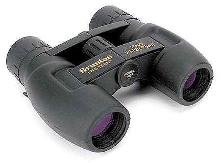 Get your binoculars ready to look for turkeys.