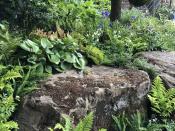 <p>Rocks are big at this year’s RHS Chelsea, a trend easily replicated at any scale to add drama to <a href="https://www.housebeautiful.com/uk/garden/designs/how-to/a782/small-garden-guide/" rel="nofollow noopener" target="_blank" data-ylk="slk:gardens big or small;elm:context_link;itc:0;sec:content-canvas" class="link ">gardens big or small</a>. Going big, <strong>Jilyane Rickards MSGD</strong> has included huge red boulders, roughly hewn and balanced on top of one another in her <a href="https://www.housebeautiful.com/uk/garden/a27389701/chelsea-flower-show-harry-meghan-camfed-garden/" rel="nofollow noopener" target="_blank" data-ylk="slk:African-inspired garden for CAMFED;elm:context_link;itc:0;sec:content-canvas" class="link ">African-inspired garden for CAMFED</a>, while <strong>Andy Sturgeon’s</strong> garden features a staircase of vast English ironstone platforms and <strong>Joe Perkins</strong> includes dramatic rock formations inspired by the coast. <strong>Sarah Eberle</strong> also incorporates large lichen-covered boulders to punctuate her woodland setting. </p><p>On a smaller scale, <strong>Tom Hoblyn</strong> uses burnt sienna gravel on his paths to mimic the eroded rocks of an arid landscape, and for a more structured look, <strong>Helen Elks-Smith</strong> has designed a pavilion made of traditional dry stone walling alongside a rustic limestone water trough. </p>