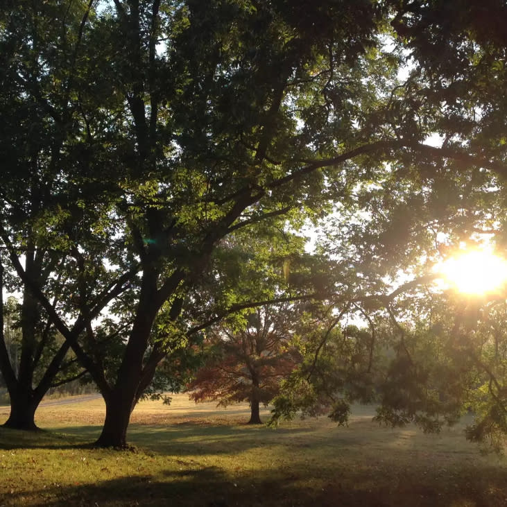 Tune Farm's Whistle Stop Camp