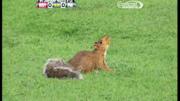 Squirrel invades women's professional soccer championship game, Ray Lewis makes an attempt at play-by-play announcing, and Justin Upton can't believe it when a bold fan snags a fly ball from him