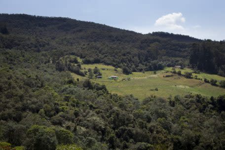 Deforestación en los bosques de Colombia. 