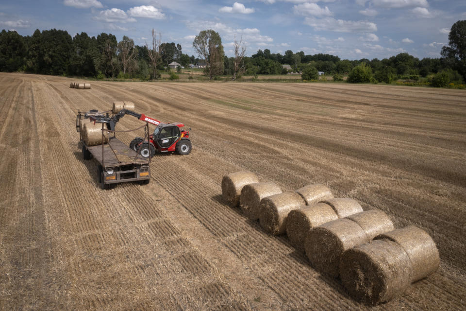 A tractor collects straw on a field in a private farm in Zhurivka, Kyiv region, Ukraine, Thursday, Aug. 10, 2023. Last month, Russia pulled out of the deal that the U.N. and Turkey brokered to provide protection for ships carrying Ukrainian grain through the Black Sea. Moscow has since stepped up attacks on Ukrainian ports and grain infrastructure while Ukraine has hit one of Russia's own ports, leading wheat and corn prices to zigzag on global markets.(AP Photo/Efrem Lukatsky)