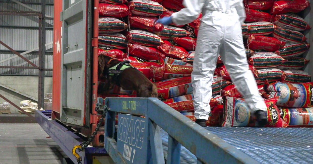 Undated handout photo issued by the National Crime Agency (NCA) showing an officer unloading bags of rice which contained a �21 million haul of heroin that was hidden inside and which has been seized from a container ship at the port of Felixstowe.