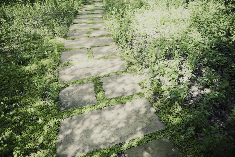 This is one of the many stone pathways that meander through Oprah&rsquo;s property. Each path is unique in where it leads you and the feeling it evokes. Here, the dappled sunlight warms the ground covered in moss and fallen oak leaves.