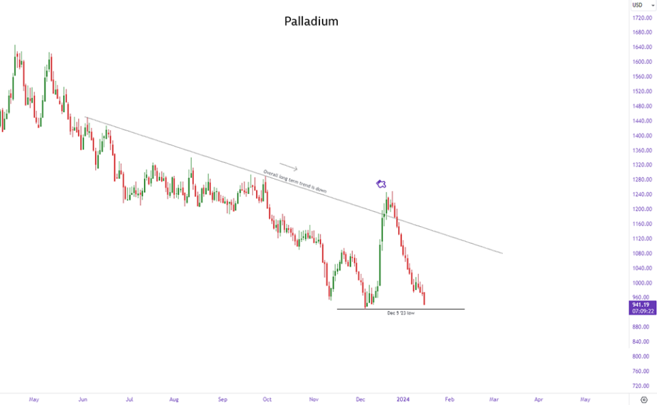 palladium outlook January 2024