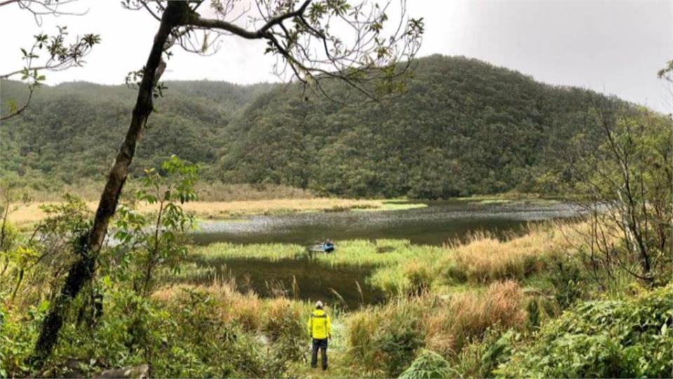 宜大等3校發現新物種　淡水蟹「北山澤蟹」登國際期刊