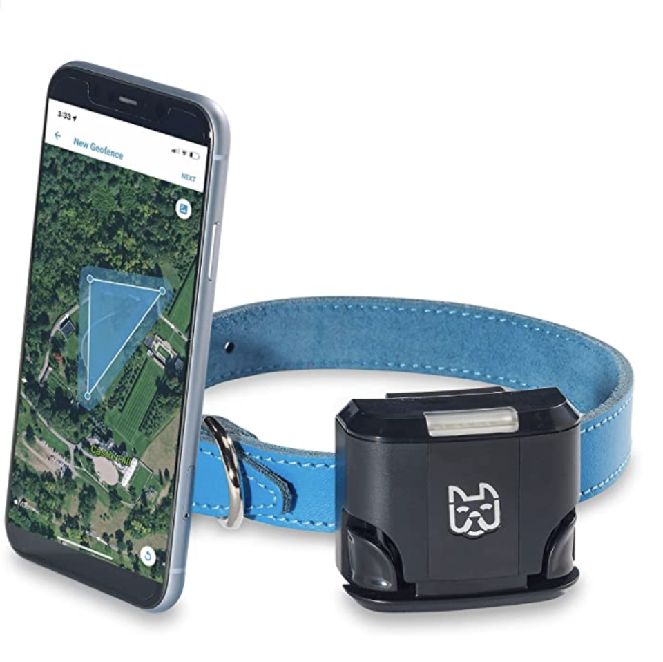 gifts-for-dog-owners-wagz-smart-collar