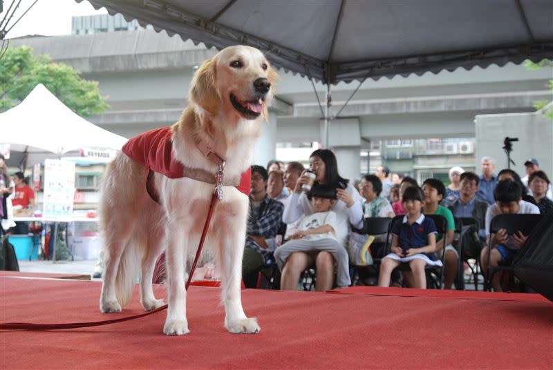 惠光導盲犬教育基金會明將於花博公園舉辦「開路天使EYE無限」活動，讓民眾可近距離接觸導盲犬。（圖／惠光導盲犬教育基金會授權提供）