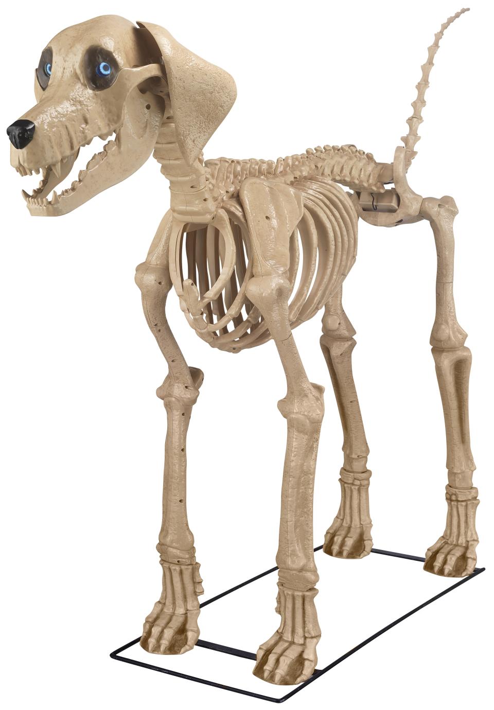 A 7-foot Skeleton Dog, sold at Home Depot.