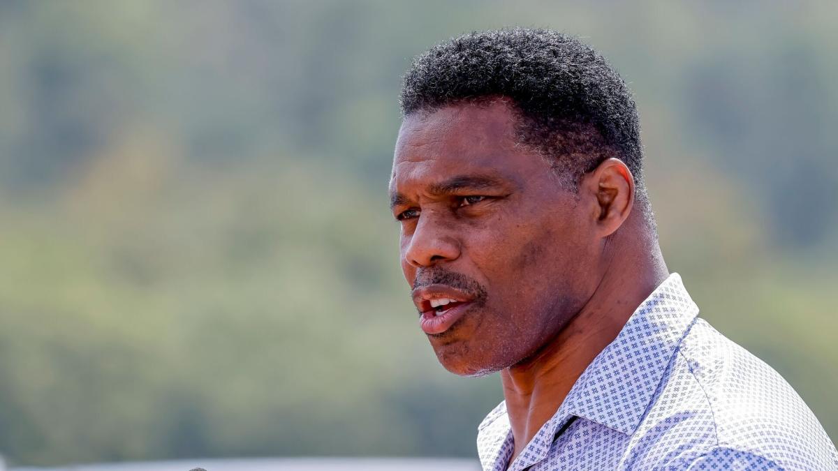 How Much Is Former NFL Player Herschel Walker Worth as He Runs For US  Senate?