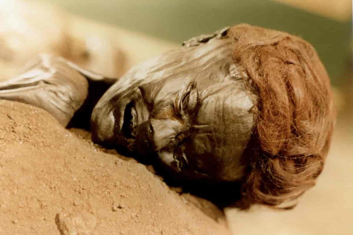 El misterio de la morsa encontrada en una tumba de humanos