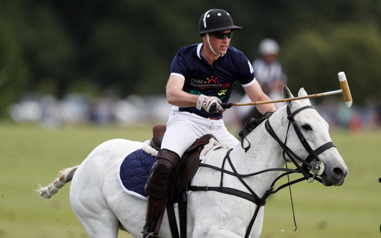 Prince William warms up for his 35th with a quick game of horse-based croquet - REUTERS