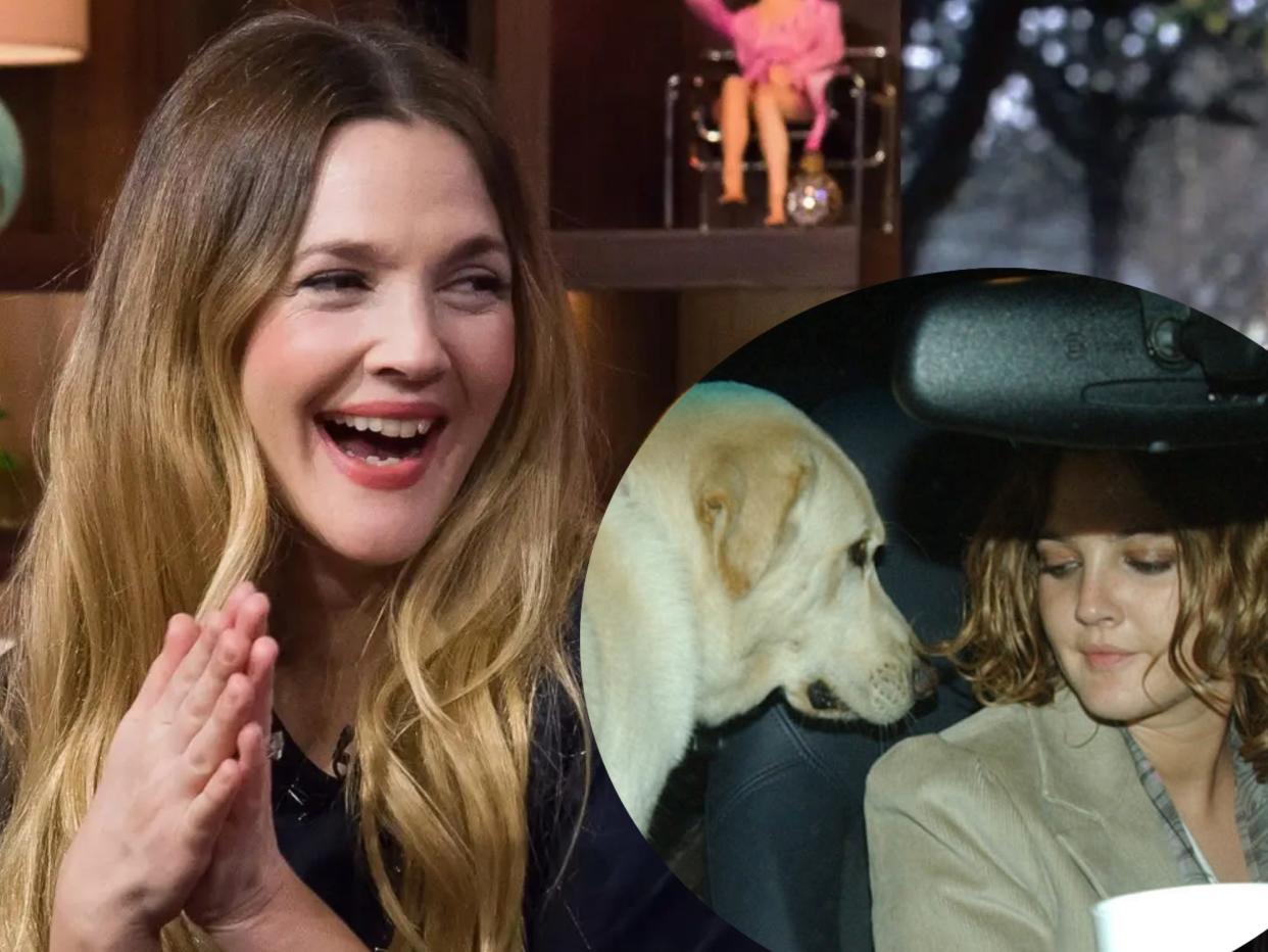 drew barrymore in 2023 (left) and drew barrymore and her dog in 2002 (right)