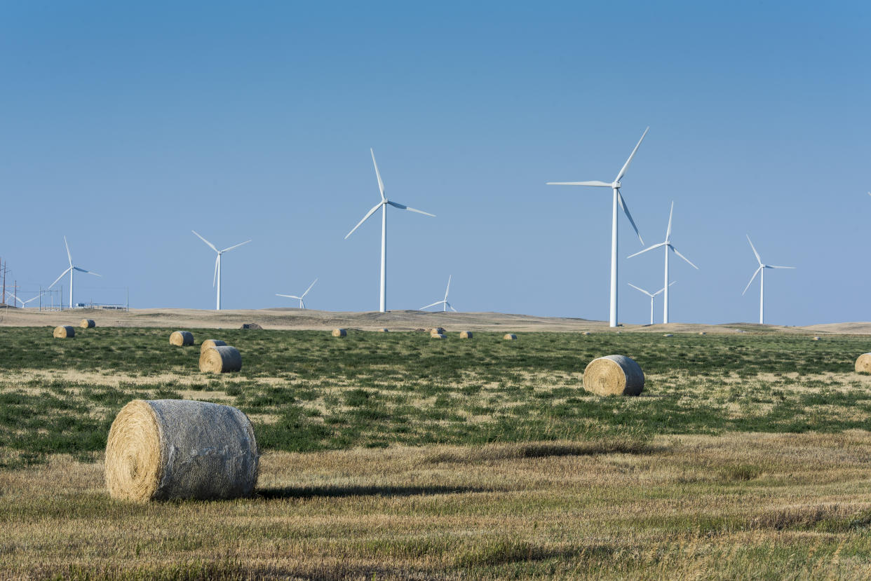 A view of the&nbsp;Rim Rock Wind Farm, a 126-turbine operation located on a working ranch in Kevin, Montana. (Photo: William Campbell/Getty Images)