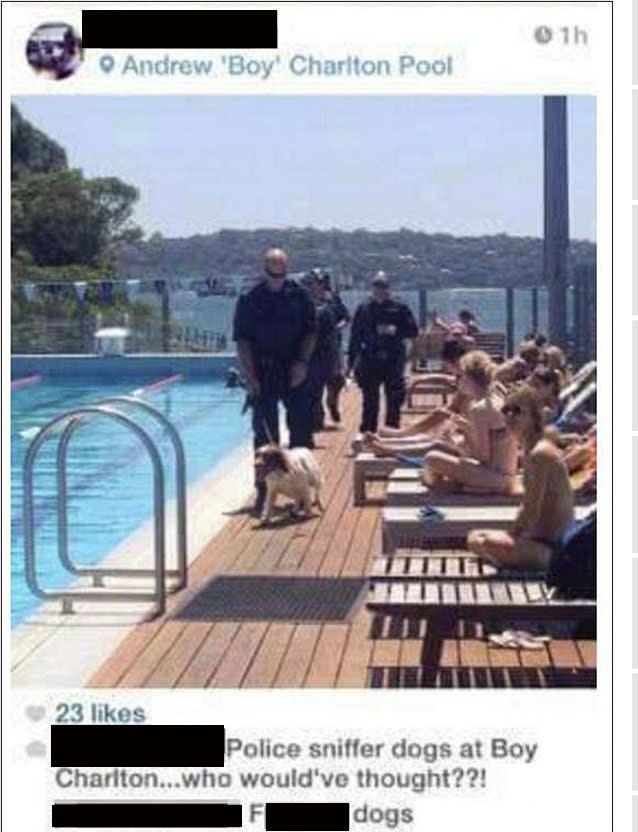 Police dog patrols a pool in Sydney.