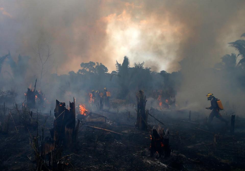 BRASIL-ELECCIONES-DEFORESTACIÓN (AP)