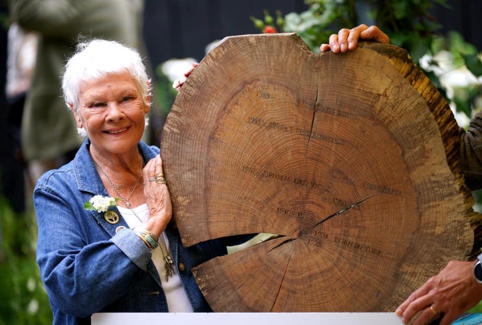 Dame Judi Dench displays a timber round with key dates from her life and career carved into it at the Gaze Burvill trade stand after launching the new Woodland Heritage campaign (Yui Mok/PA) (PA Wire)