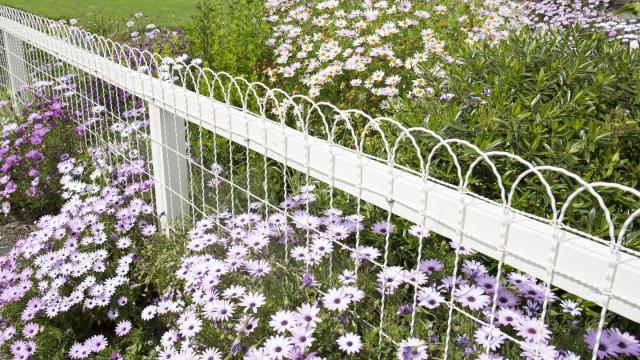 These Decorative Garden Fence Ideas Will Turn Your Yard Into an Oasis