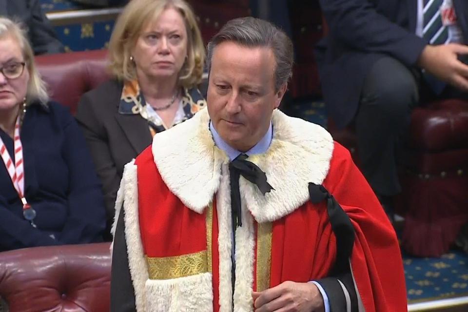 Lord Cameron of Chipping Norton (PA Wire)