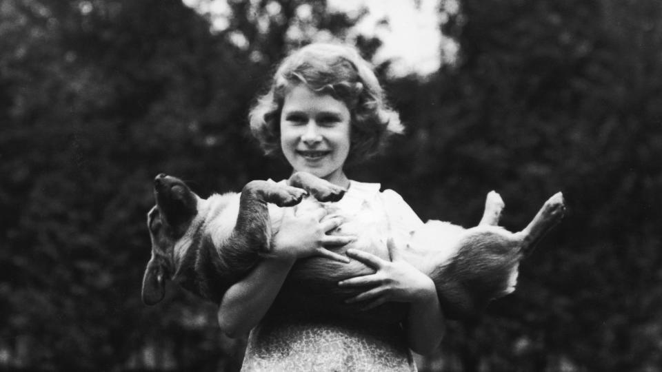 a young girl holding a pet corgi 