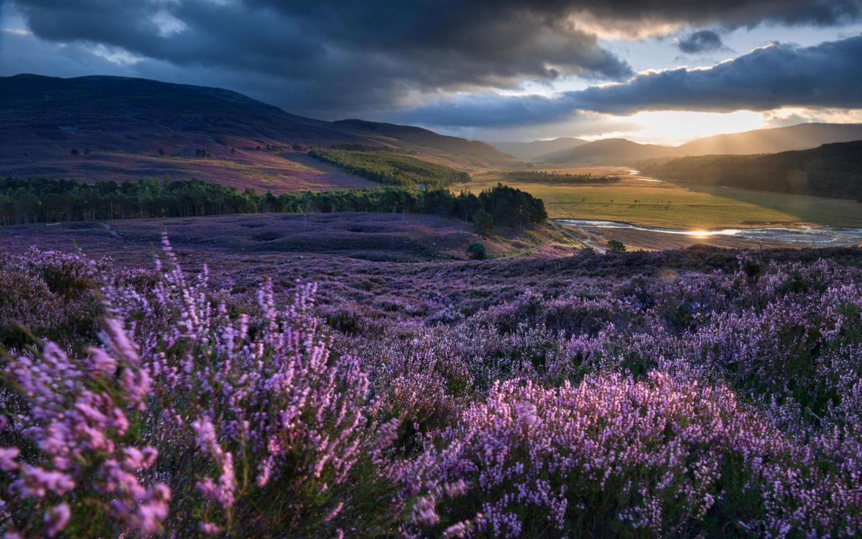 Mar Lodge - alamy