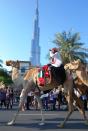 Several camels, also donning the UAE colours, were led along the parade. (Photo: Donna.M.Bee.Photography)