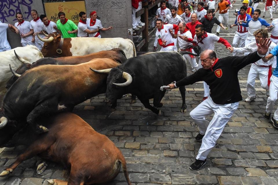 PAMPLONA, SPAIN - JULY 08:  Revellers run with the Tajo and the Reina's fighting bulls entering Estafeta street during the third day of the San Fermin Running of the Bulls festival on July 8, 2015 in Pamplona, Spain. The annual Fiesta de San Fermin, made famous by the 1926 novel of US writer Ernest Hemmingway entitled 'The Sun Also Rises', involves the daily running of the bulls through the historic heart of Pamplona to the bull ring.  (Photo by David Ramos/Getty Images)