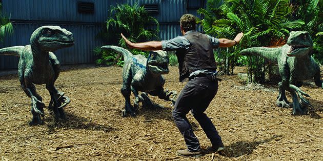 No animal hate here: Chris Pratt is a friend to the raptors in 'Jurassic World'. Photo: Universal Pictures