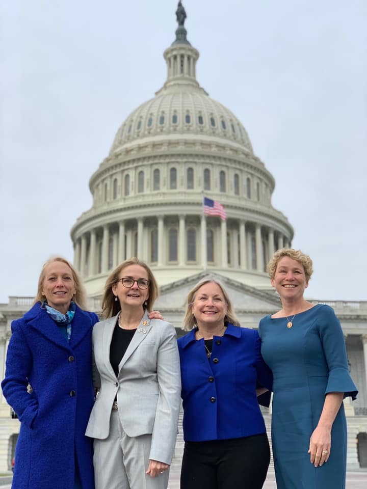 These four women from Pennsylvania were elected to Congress in 2018 during the Pink Wave. This marks the first time the state has had four women in the state delegation. They call themselves the "Fab Four." From left to right, they are Mary Gay Scanlon, a civil rights lawyer from the Philadelphia area; Madeleine Dean, a former state representative; Susan Wild, a former city solicitor in Allentown; Chrissy Houlahan, a retired chemistry teacher and military veteran.