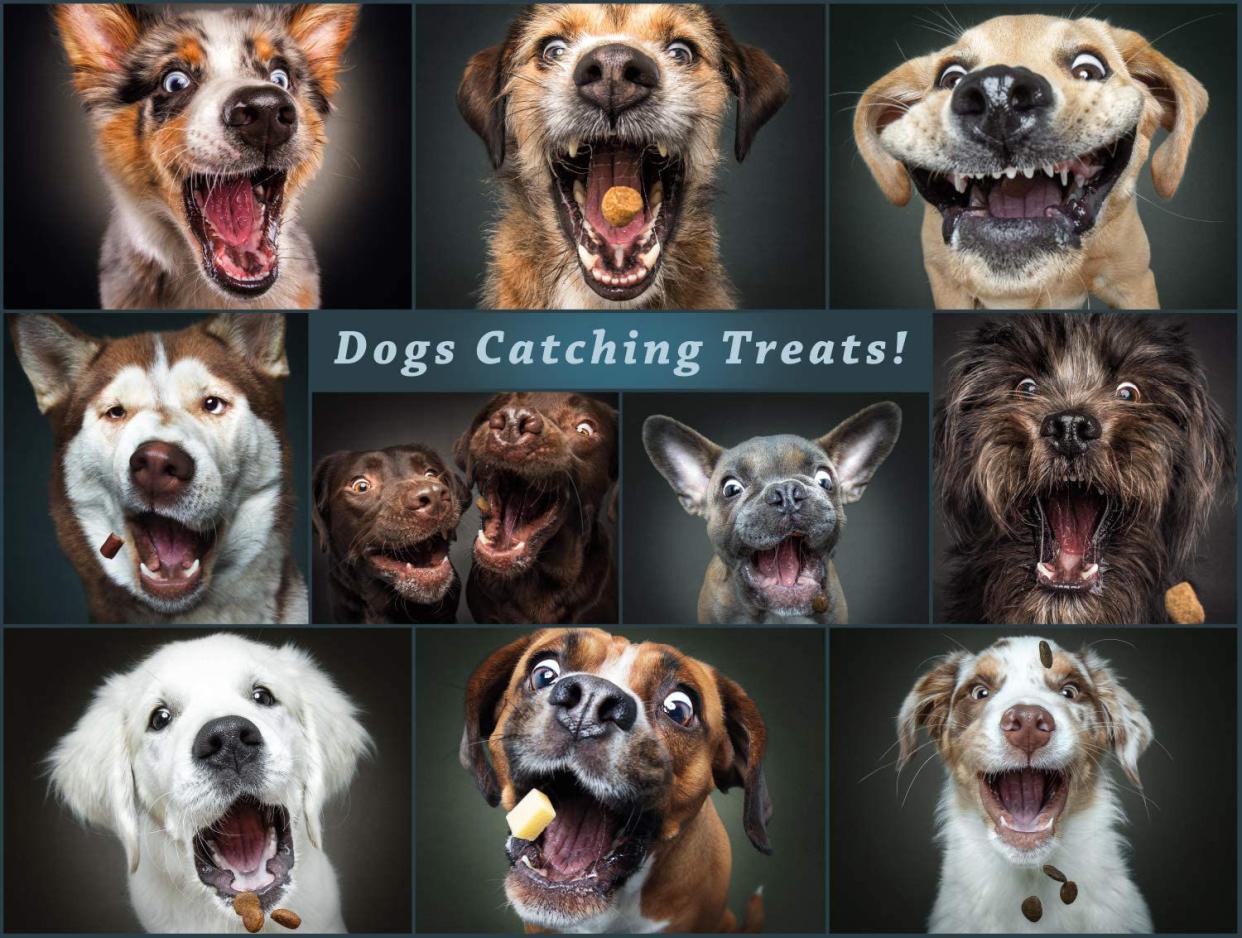 Dogs Catching Treats Jigsaw Puzzle