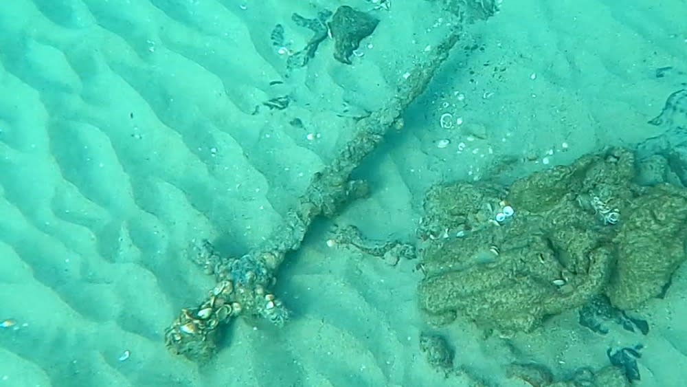  A medieval sword coated in shells at the bottom of the sea.  