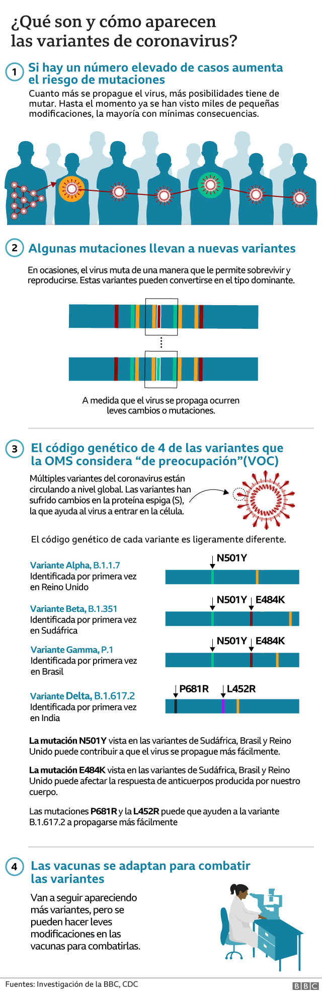 Gráfico sobre las caracteristicas de 4 de las variantes del Sars-CoV-2