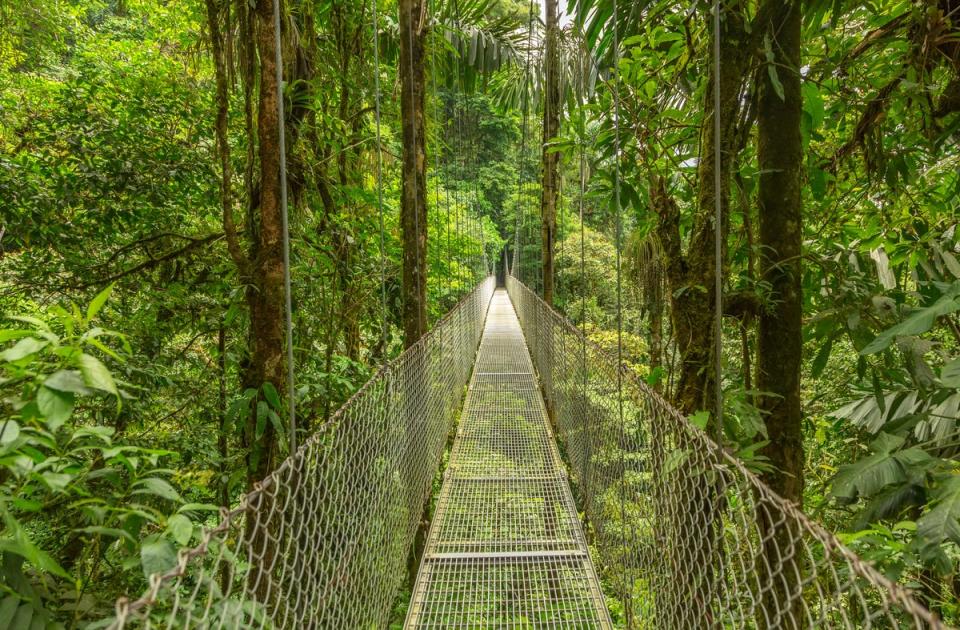 A hanging bridge in Monteverde, Costa Rica (Getty Images/iStockphoto)