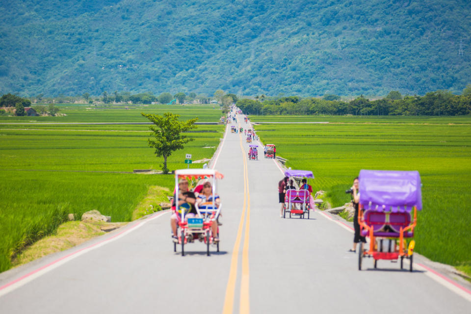 在伯朗大道中騎單車、散步，遙望遠方迷人的山景，使人感到身心放鬆。   圖：取自花東縱谷國家風景區管理處網站