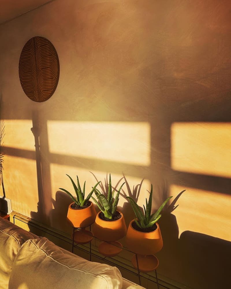 Sunrays shine onto a planter with three vases.