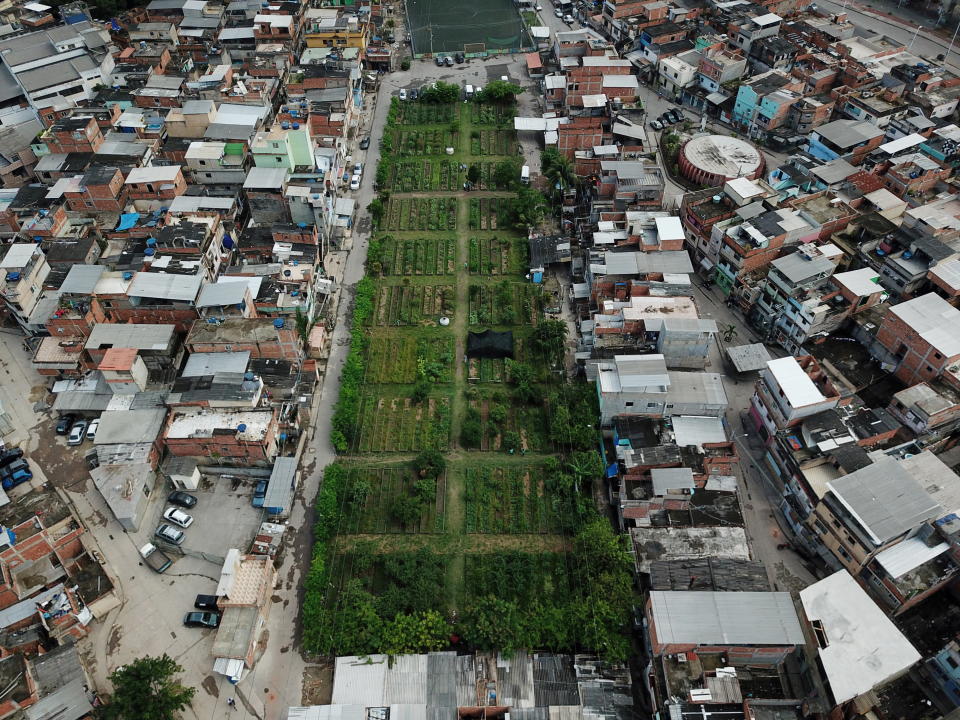 A drone picture of the Horta de Manguinhos (Manguinhos vegetable garden), the biggest urban garden in Latin America, part of the project 