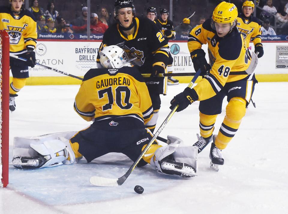 Erie Otters defenseman Matthew Schaefer, right, clears the puck behind teammate and goaltender Ben Gaudreau against the Sarnia Sting at Erie Insurance Arena on Oct. 21. Schaefer said he and Gaudreau have become fast friends since joining the Otters this season.