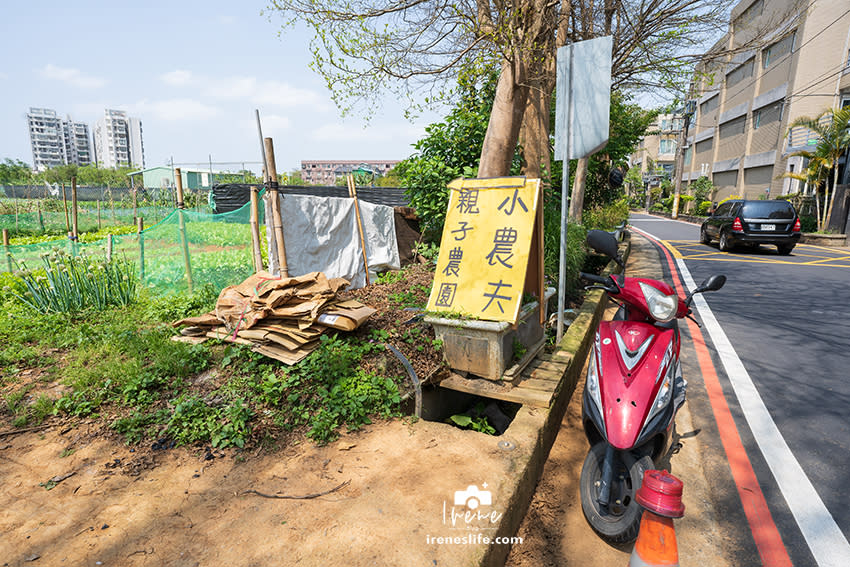 桃園｜文新小農夫親子農園